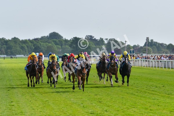 270523-Race 5-Starnberg-4481 - Race 5 3.50pm William Hill Extra Place Races Daily Handicap