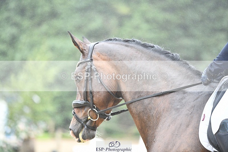 240720-094540-03603 - 271-Lauren_Gage-Creevagh_Miss_Bonnie