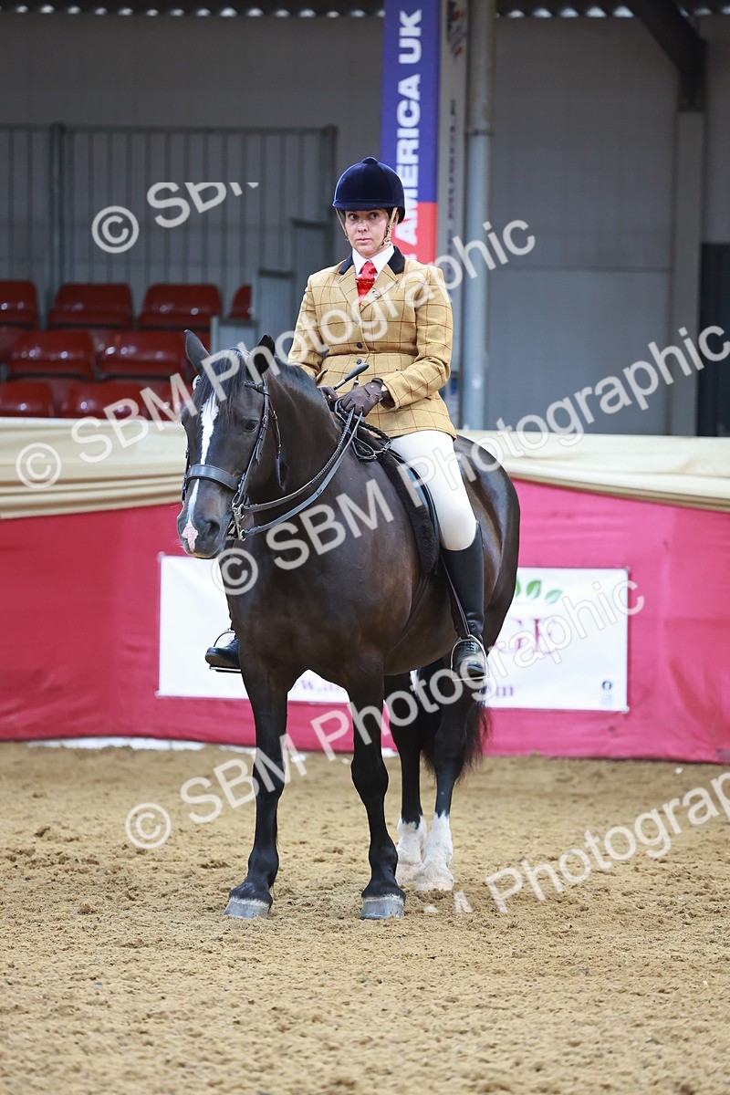 SBM_12663 - Class 103 - HOYS Veteran Qualifier - Ridden Pre Vet