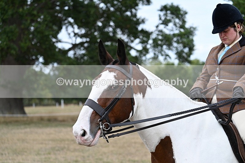 WJ7_5204 - Class 12 Ridden Cob