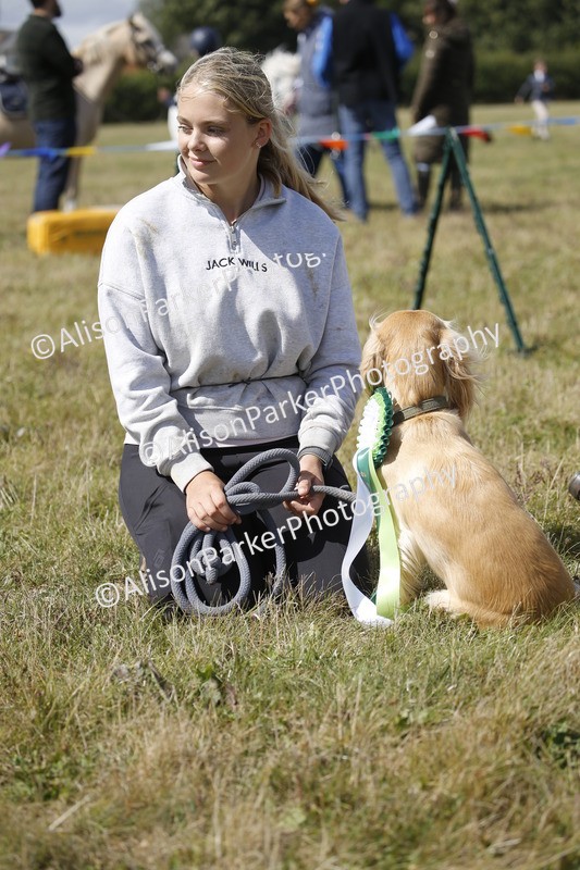 20250831-3708 - Dog Show
