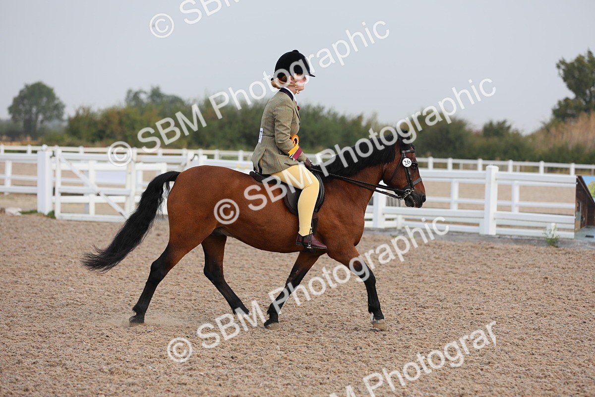 SBM_09698 - Class 301 Ridden M&M -Small Breeds