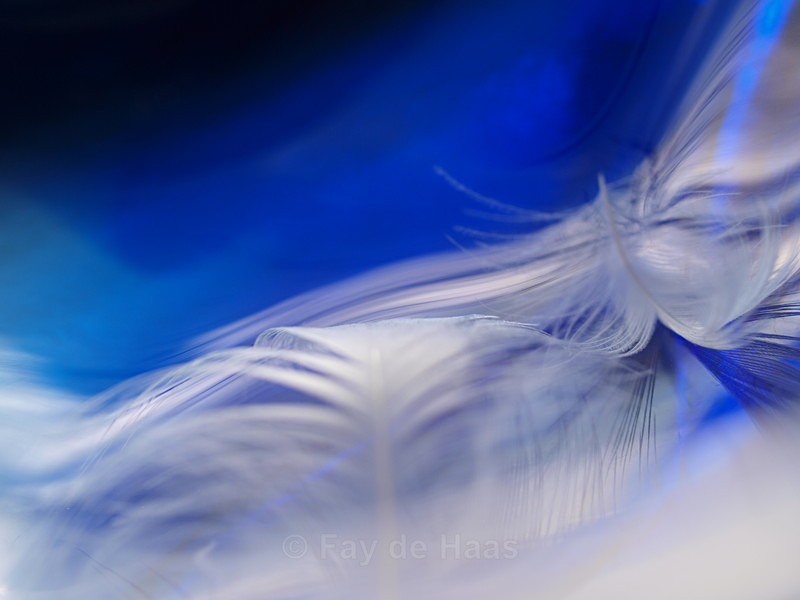  - Dreaming