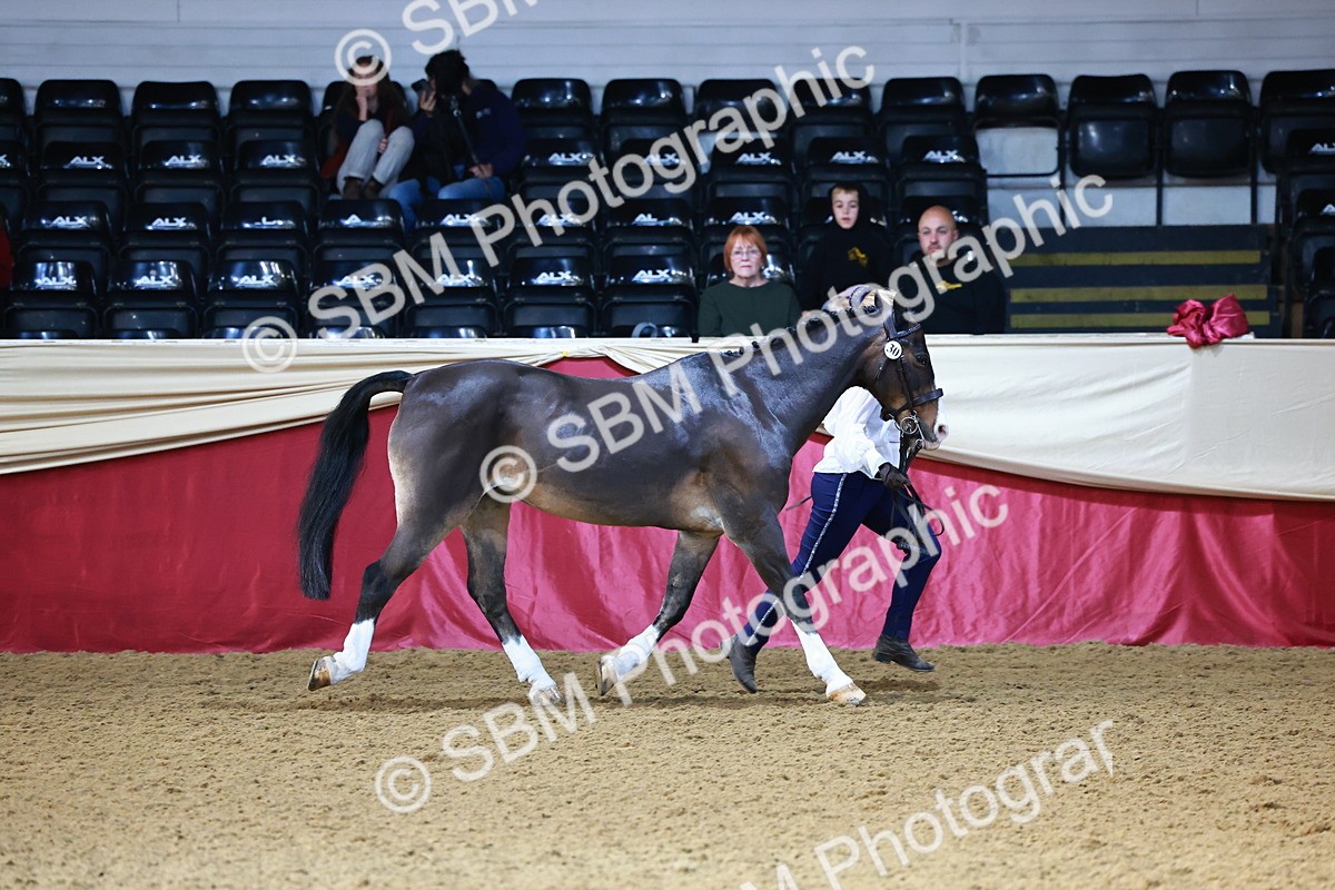 SBM_21732 - Class 901 - Supreme Final - IH  Diamond