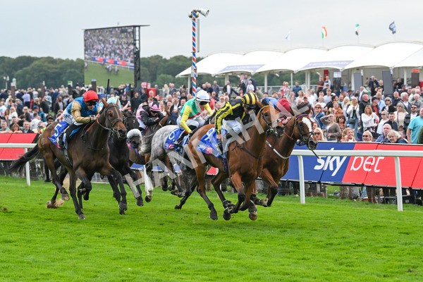 220825-Race 1-Asgards Captain-6632 - Race 1 1.50pm Sky Bet Handicap