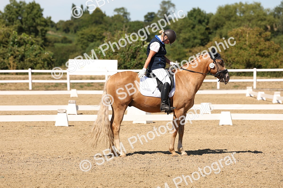 SBM_003680 - Elementary 4