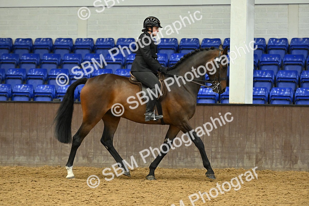 SBM_002049 - Class 23 - BSHA Ridden Show Hunter