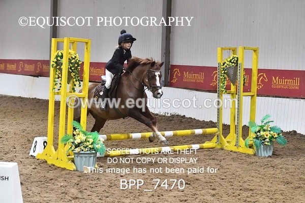 BPP_7470 - 40CM WORKING HUNTER