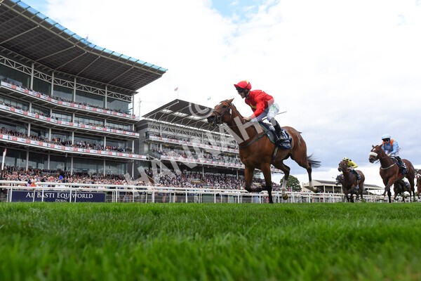 yr19082022r4-78 - Race 4 3.35pm Coolmore Wootton Bassett Nunthorpe Stakes (British Champion Series Race)