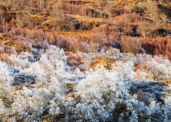  - Scotland, UK
