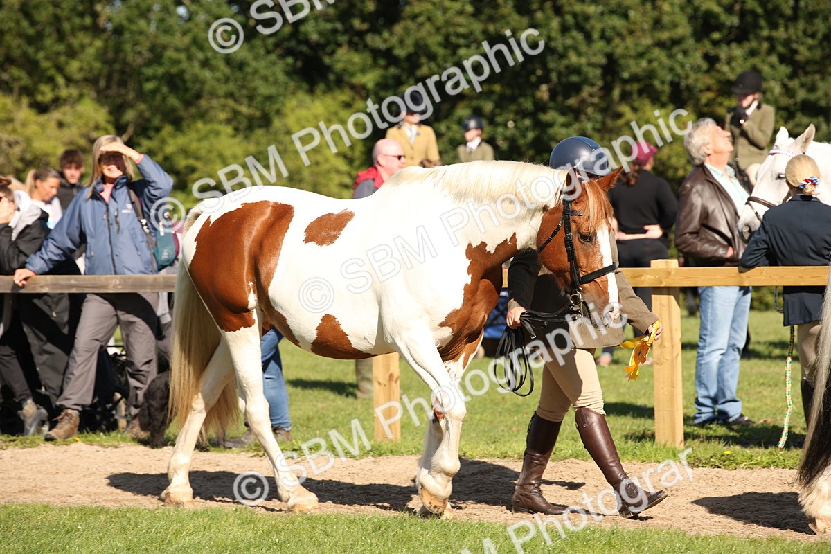 SBM_36669 - S10 - Best In Hand Horse & Pony