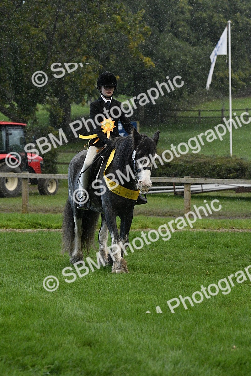 SBM_53326 - S14 - Riding Club Horse