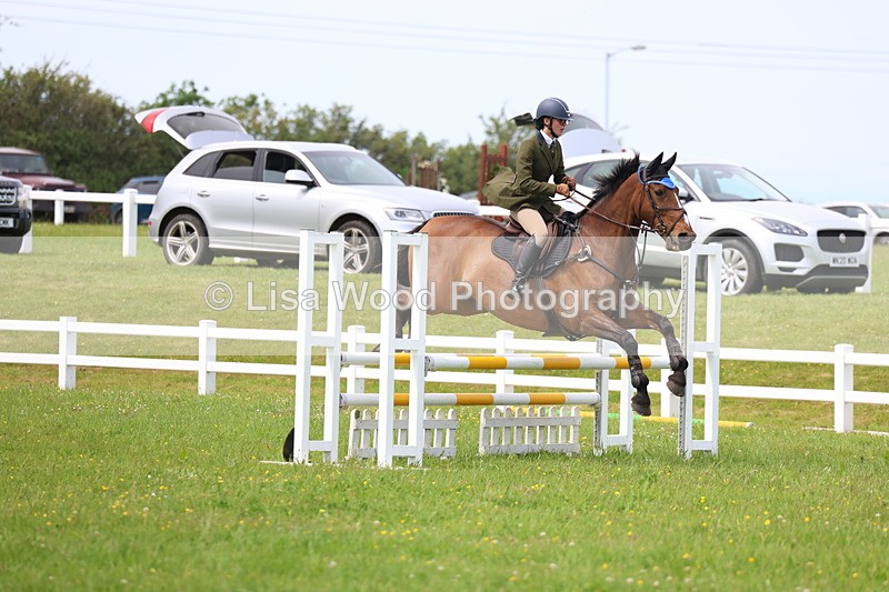 3E7A1624 - Class 13: Senior British Novice/90cm open