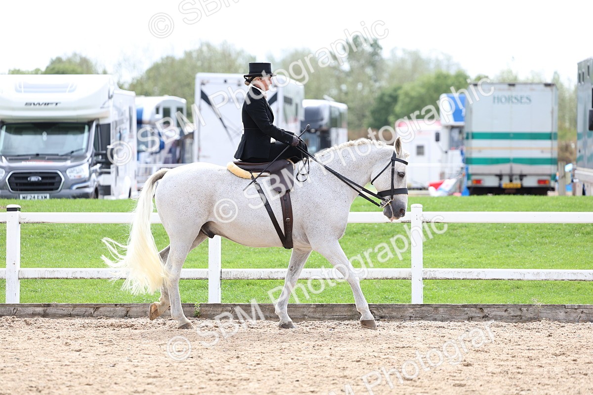 SBM_03376 - Class 24 - SSA Concours d'elegance (any age)