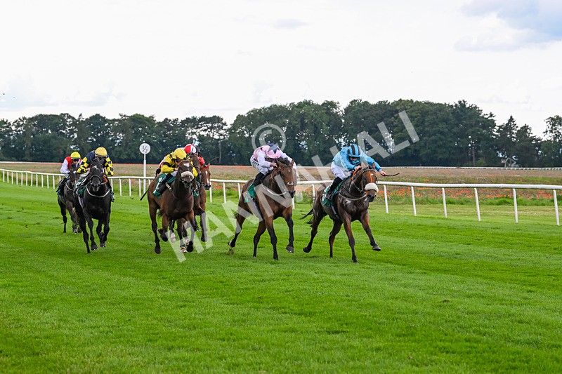 170724-Race 3-Ingleby Archie-9942 - Race 3