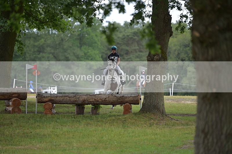 NGP_8310 - Time 12:08 to 12:15