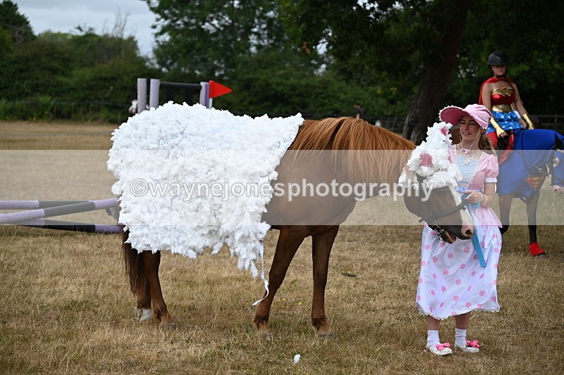 WJ6_8760 - Class 11 Fancy Dress