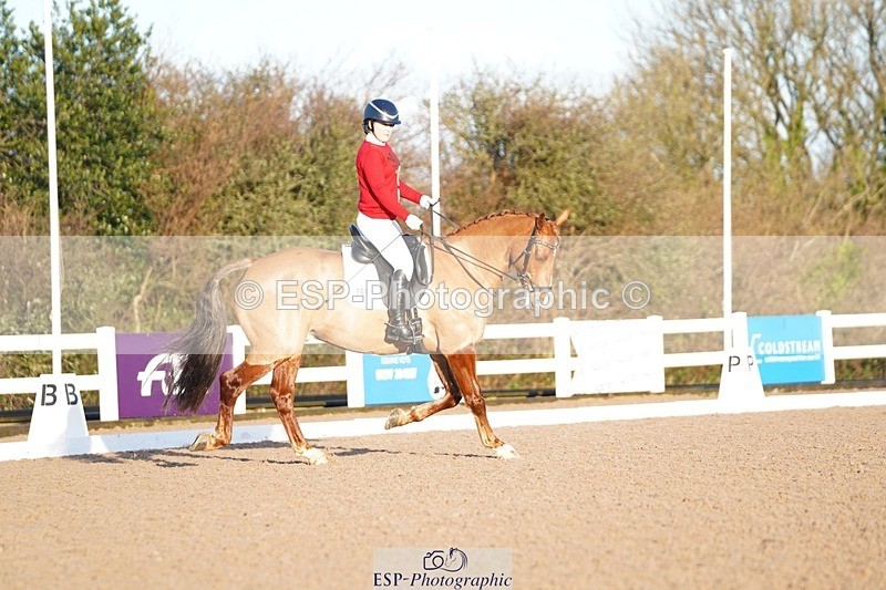 241214-102548-00171 - 108-Pippa.Knight-KFS.Boston.Burglar