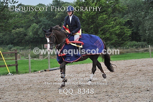 EQQ_8348 - montage selection