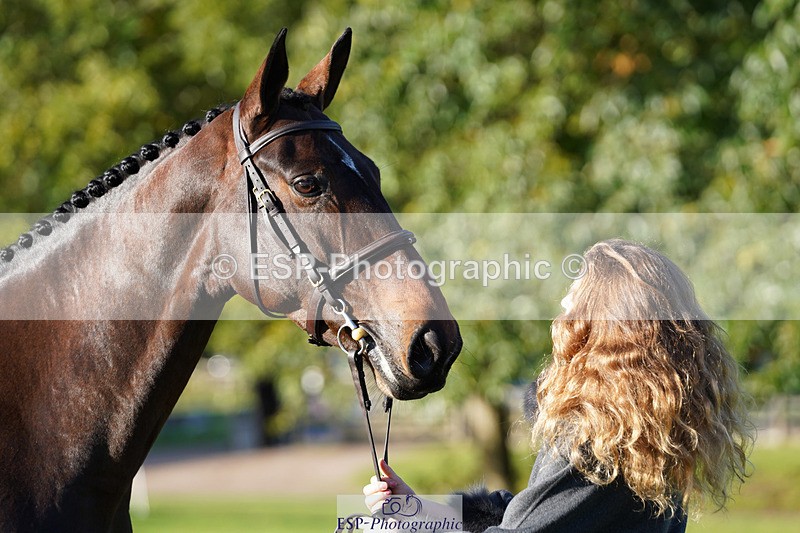 241026-101006-11660 - 055-Ellie.Fredericks-UPPER.CLASS.BRIT