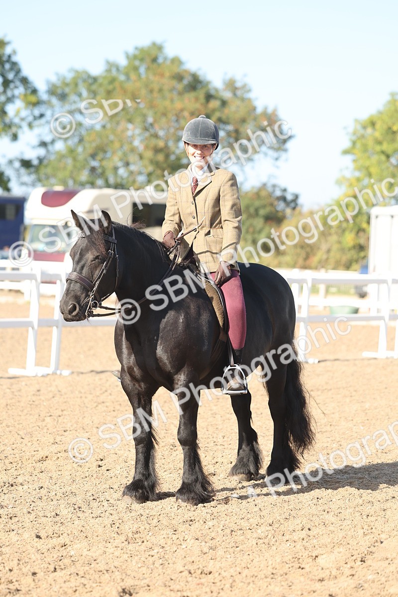 SBM_22212 - Class 802 - Ridden Groom Helpers Class