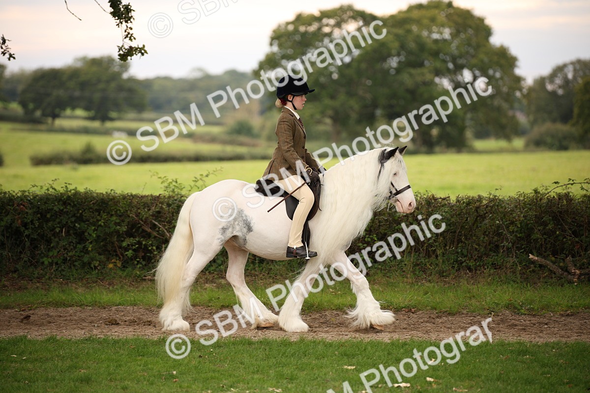 SBM_73438 - S68 - Traditional Cob Ridden