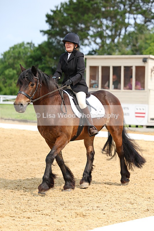 3E7A9066 - Class 2: Intro 1 2024 Section B