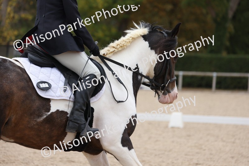 20250819-1181 - Class 3 - Prelim 2