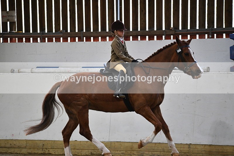 WJ5_6399 - Class 9 Ridden Veteran