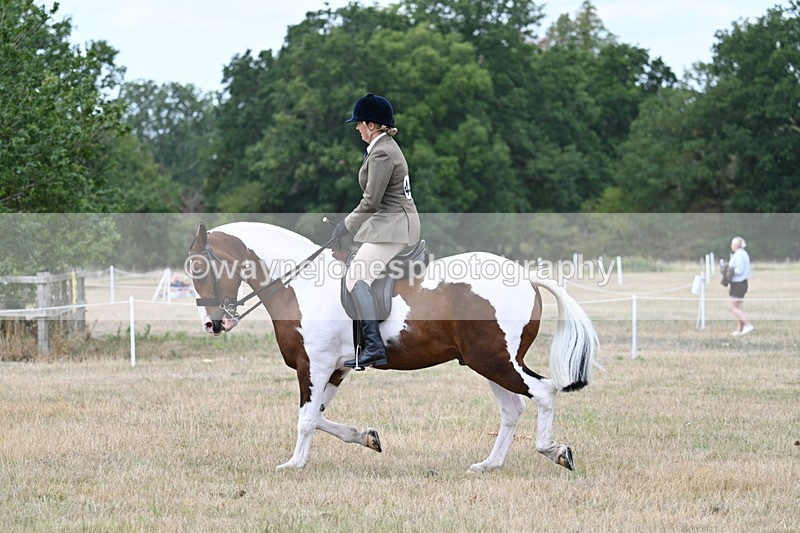 WJ7_4972 - Class 12 Ridden Cob
