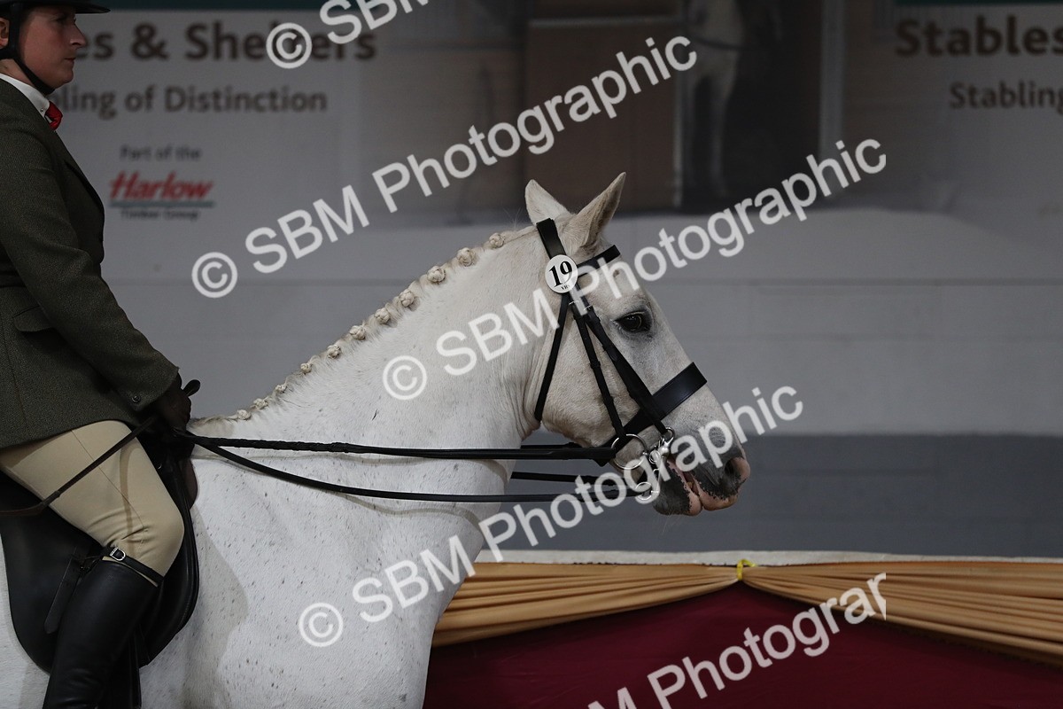 SBM_10291 - Class 102 Equitation (best rider) Adult