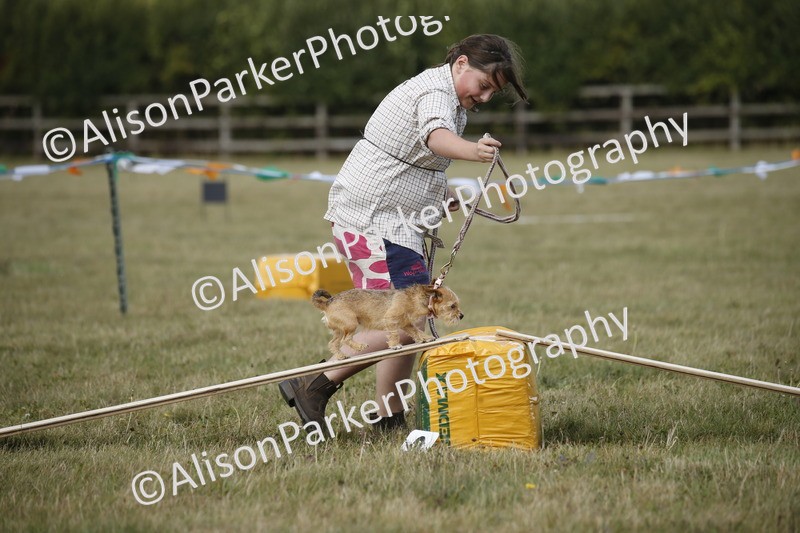 20250831-3870 - Dog Show