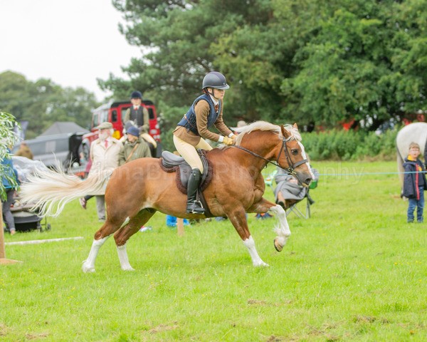 Dunblane show-345 - Dunblane and Doune Show Ring 1