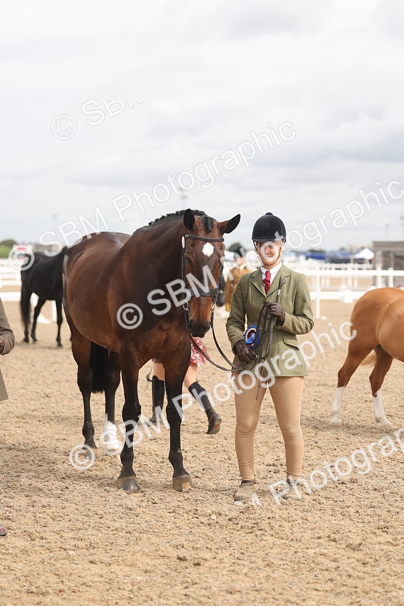 SBM_05040 - Class 20 - IH Veteran
