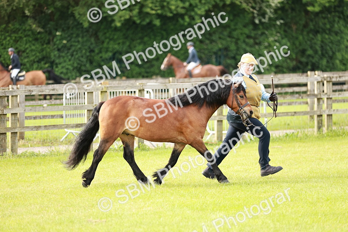 SBM_00458
