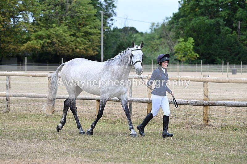 WJ7_8712 - Class 4a Prettiest Mare 14.2hh and over