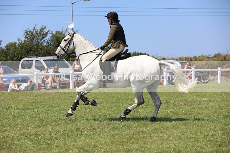 JPP_3177 - Class 22: Working Hunter 70cm