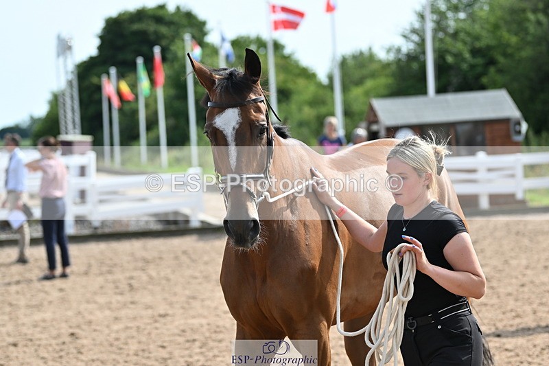 240717A-160227-03279 - Trot Up 4pm to 5pm