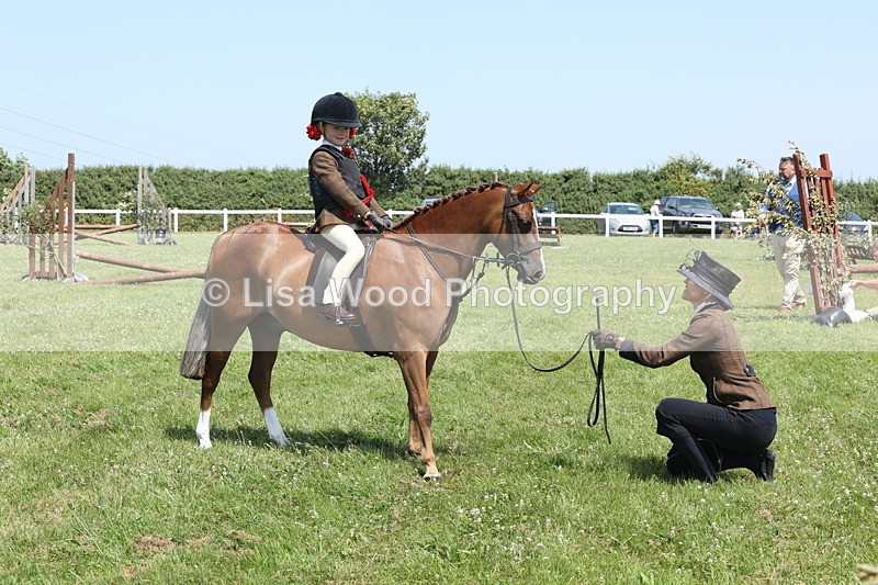 JPP_2373 - Class 20: Tiny Tots Working Hunter Pony