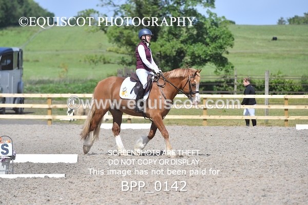 BPP_0142 - SHORT ARENA  MY QUEST PRELIM