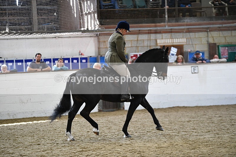 WJ5_6080 - Class 9 Ridden Veteran