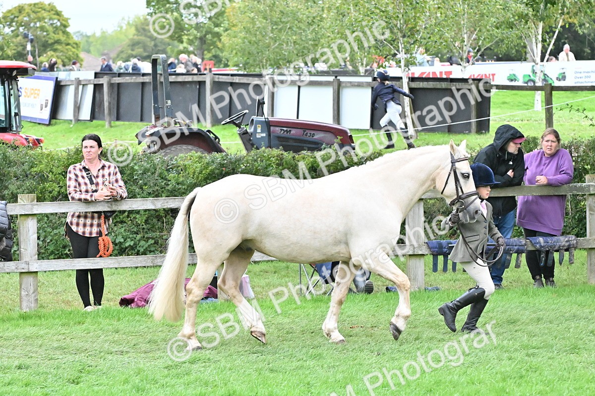 SBM_68573 - S42 - Junior Handler 9-12 Years