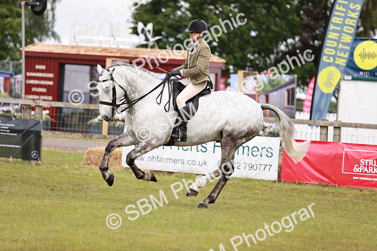 SBM_10783 - Class 81-84 - RIHS Ridden hunters Inc Ladies Hunter
