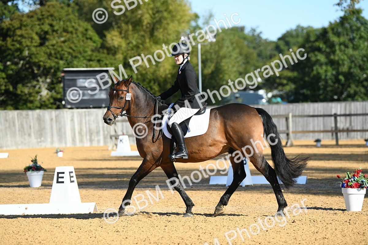 SBM_16187 - D4 - Small Tour Championship - Intro B
