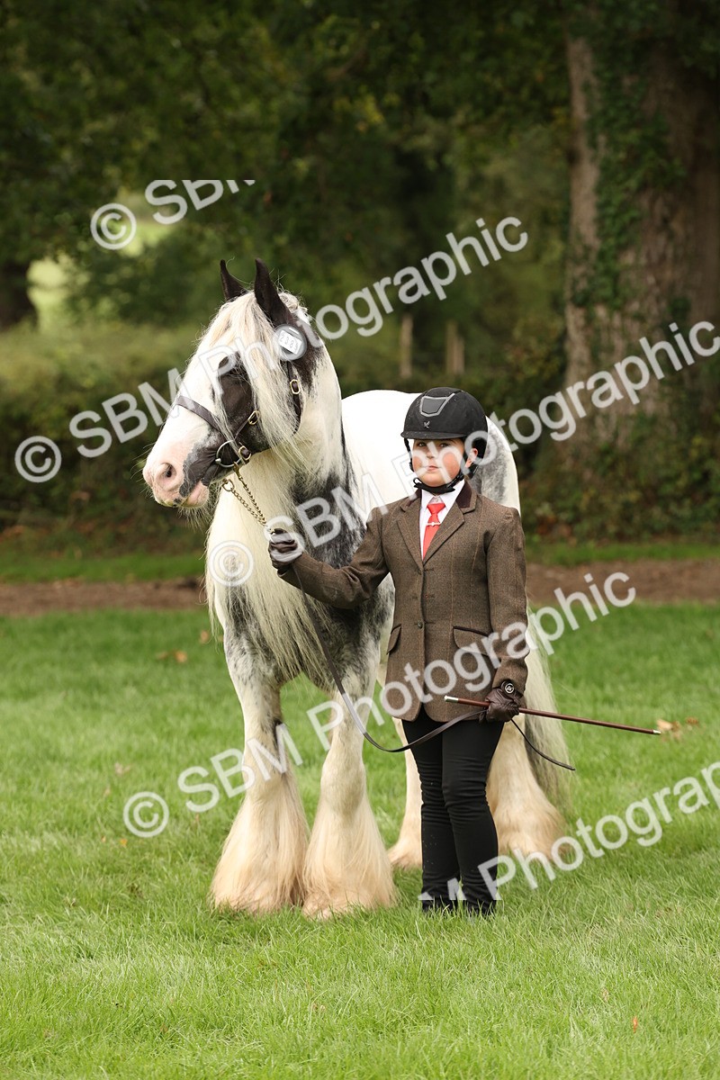 SBM_59328 - S57 - Traditional Cob In Hand