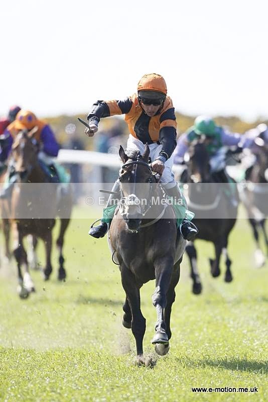  GRD 030510 164 - Guernsey Race Day 03/05/10