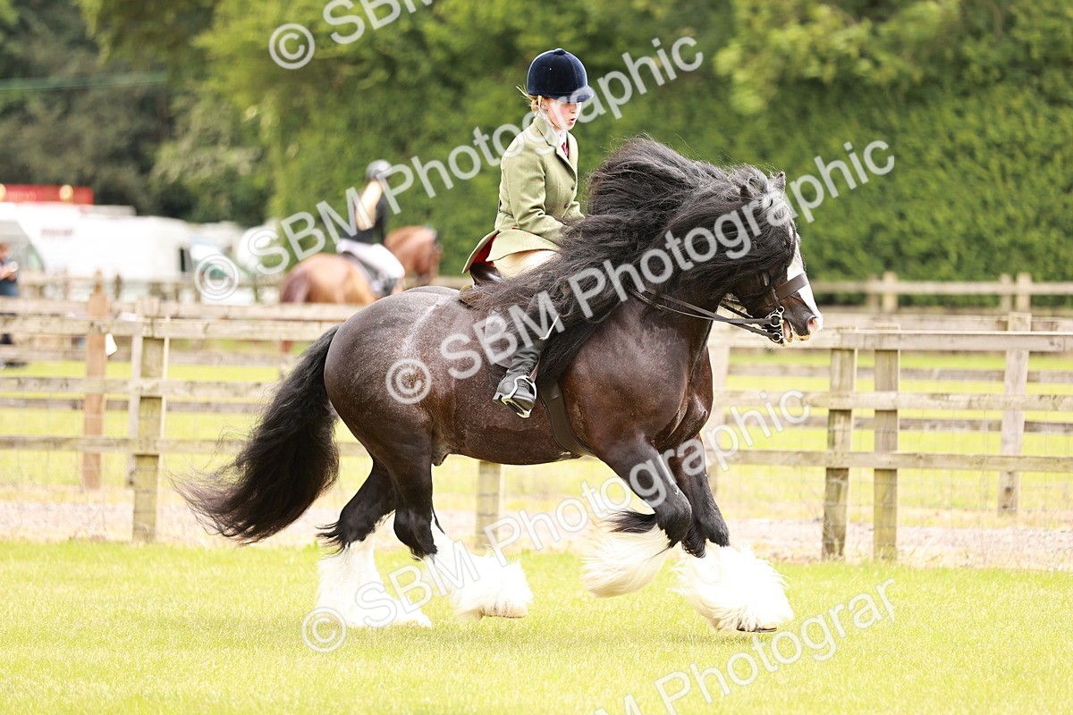 SBM_06226 - Class 39-41 TGCA In Hand and Ridden