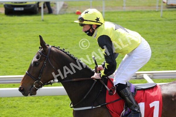 - Race 3 2.40pm The Matchbook Betting Podcast Hambleton Stakes