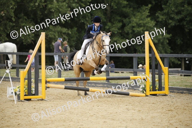 20250622-6031 - 60cm