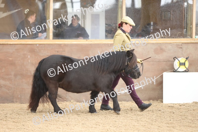 20251109-0091 - Class 5 - Mares 4 Years and over